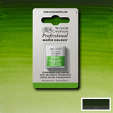 WN AWC ½ panna nr 503