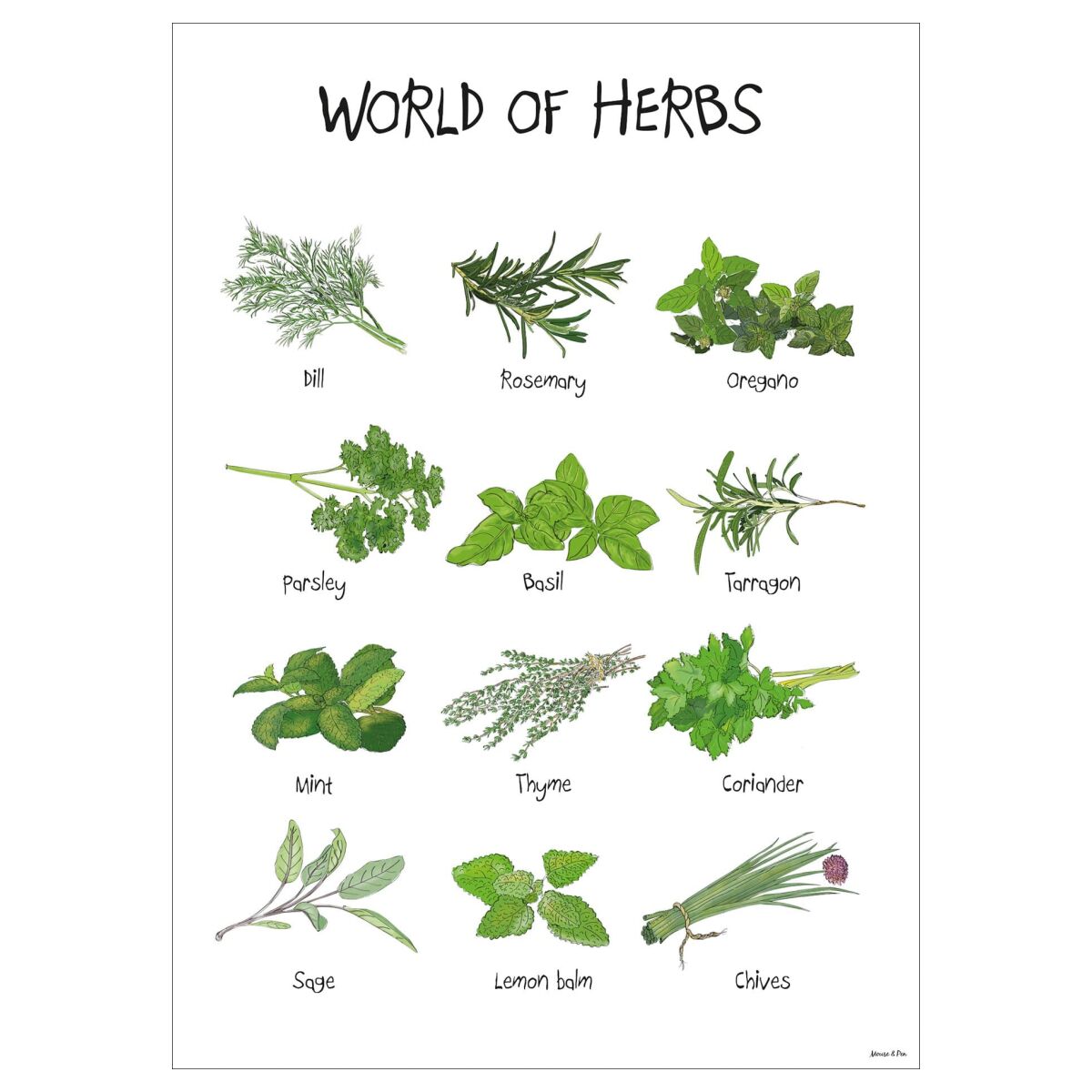 Mouse & Pen World of Herbs - A5