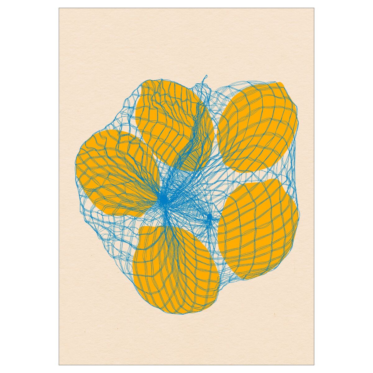 Five lemons in a net bag