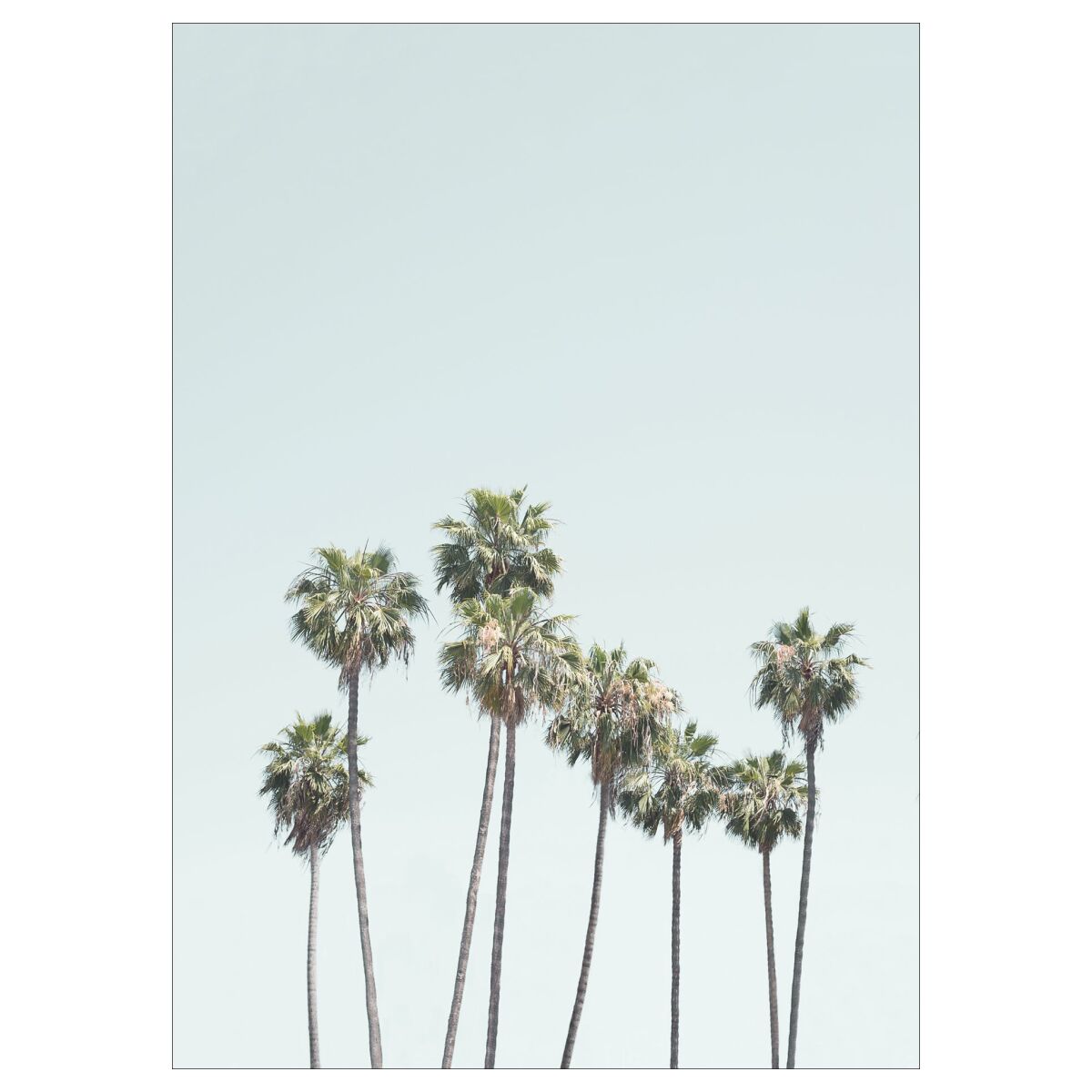 Kathrin Pienaar Blue Palm Trees 30 x 40 cm