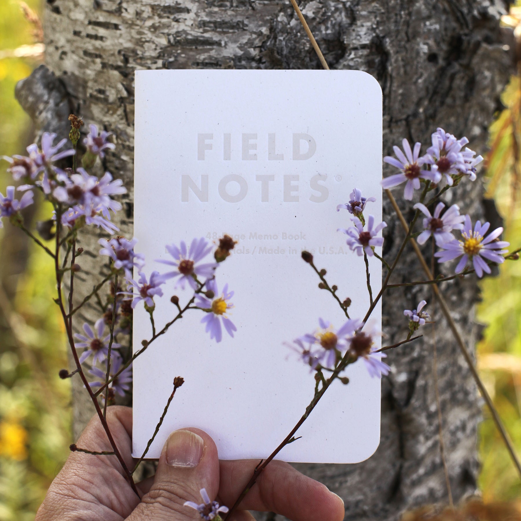 Field Notes Birch Bark 3-pak