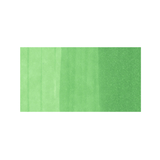 YG07 Acid Green