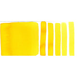DS 1/2 kastrull Hansa Yellow Deep S.1