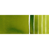DS 1/2 kastrull Sap Green S.2