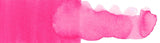 229 Rosa