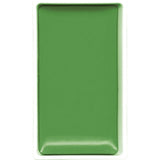 IVY GREEN 505