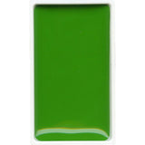 SAP GREEN LIGHT 51