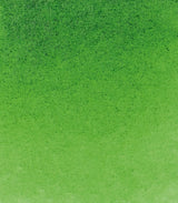 Alizarin Crimson