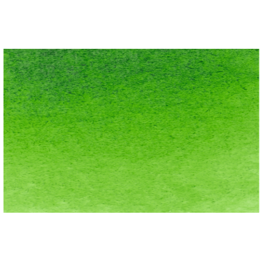 Schmincke Horadam Aquarell pans Sap Green