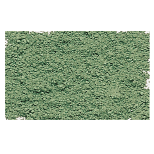 Sennelier Pigment 120g Green Earth