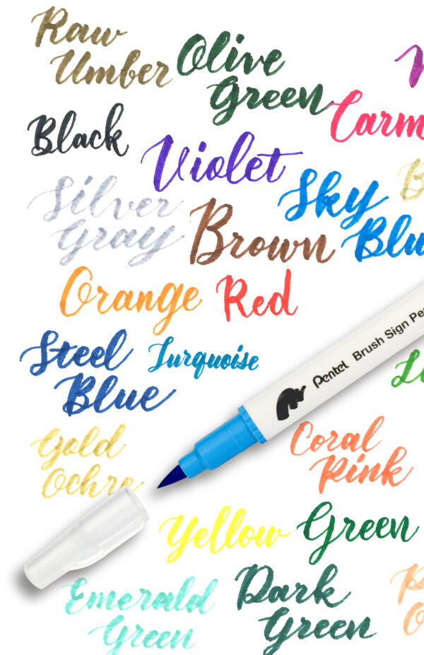 PENTEL SESW30C Brush Sign Pen Twin - uplaceret billede