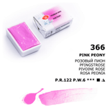 Pink Peony