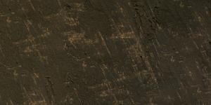 Williamsburg Oliemaling Raw Umber